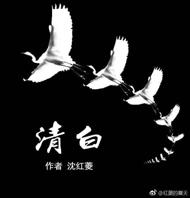 清早是什么意思