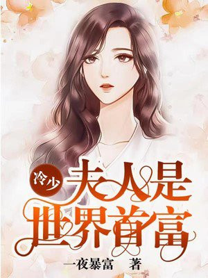 冷少夫人是世界首富吗