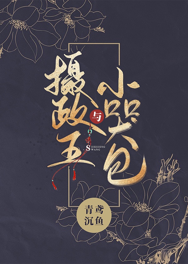 摄政王小将军