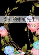 乌鸦小姐和蜥蜴先生小说百度云