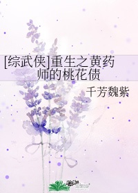 重生为黄药师的小说