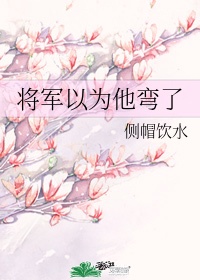 将军以为不然是什么意思