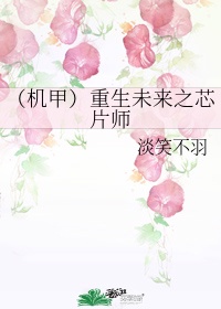 重生未来之芯片师晋江小说