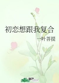 《初恋想跟我复合》作者:一叶菩提 生子