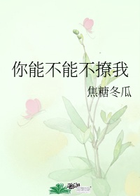 你能不能不撩我番外全txt