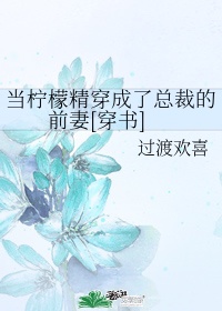 柠檬精附体是什么意思