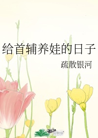 首辅养成日常讲的什么内容