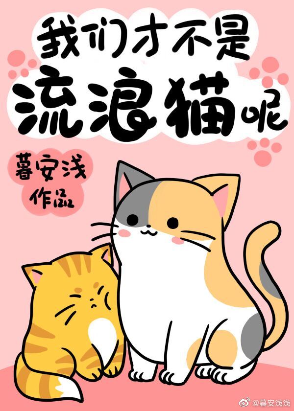 檀茶不是流浪猫asmr