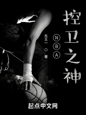 nba之控卫无敌