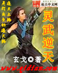 灵武逆天武峰小说